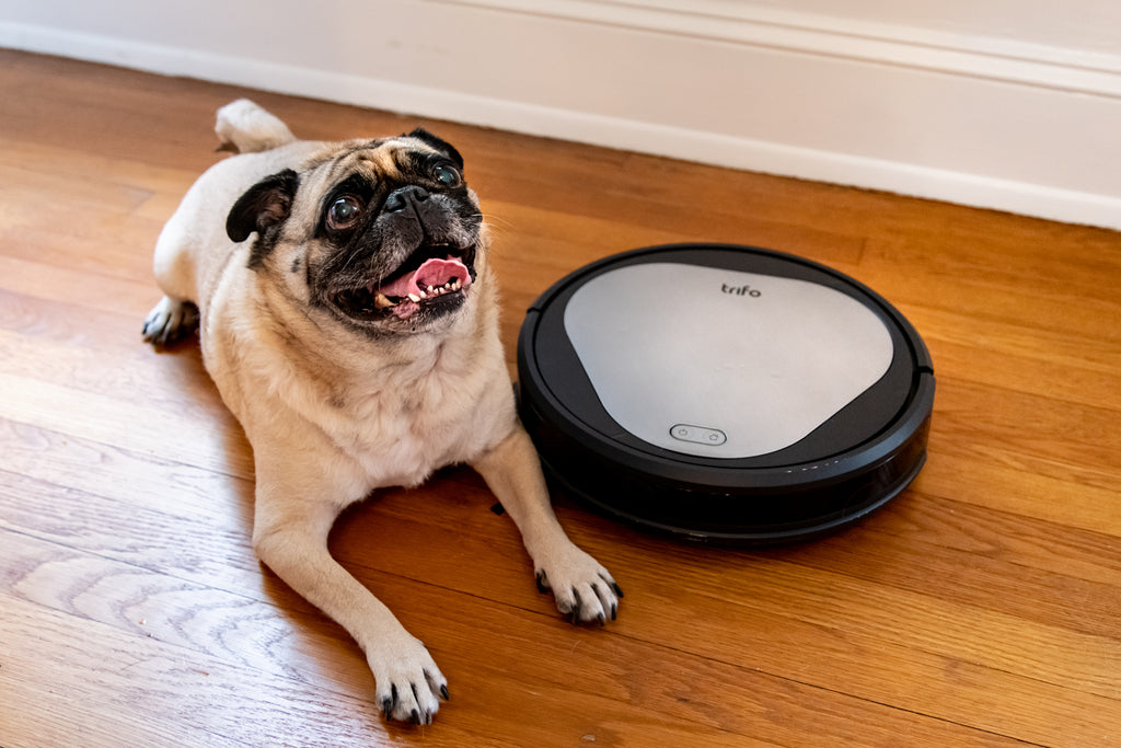 Emma Pet Robot Vacuum