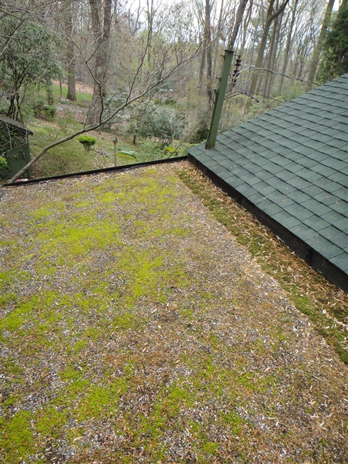 Fully Grown Live Moss Mats for Shady Areas / Roofs / Walls