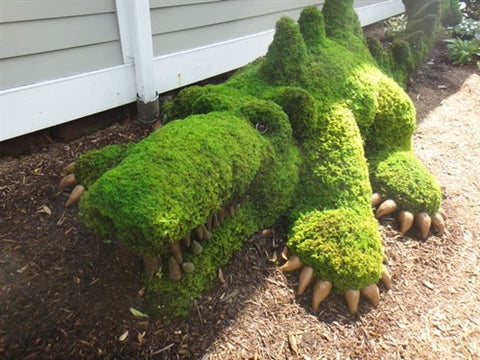 moss topiary