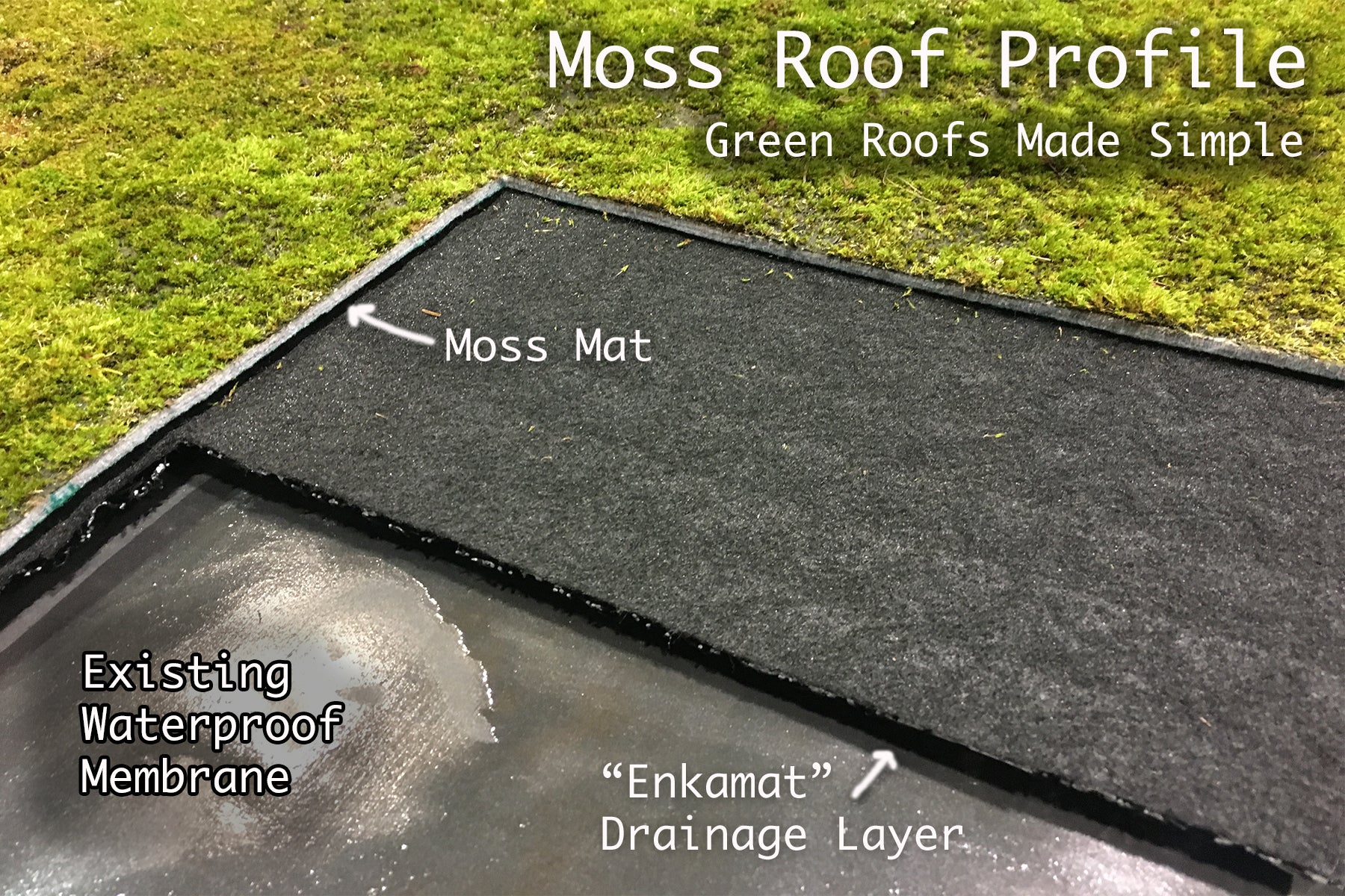 Fully Grown Live Moss Mats for Shady Areas / Roofs / Walls