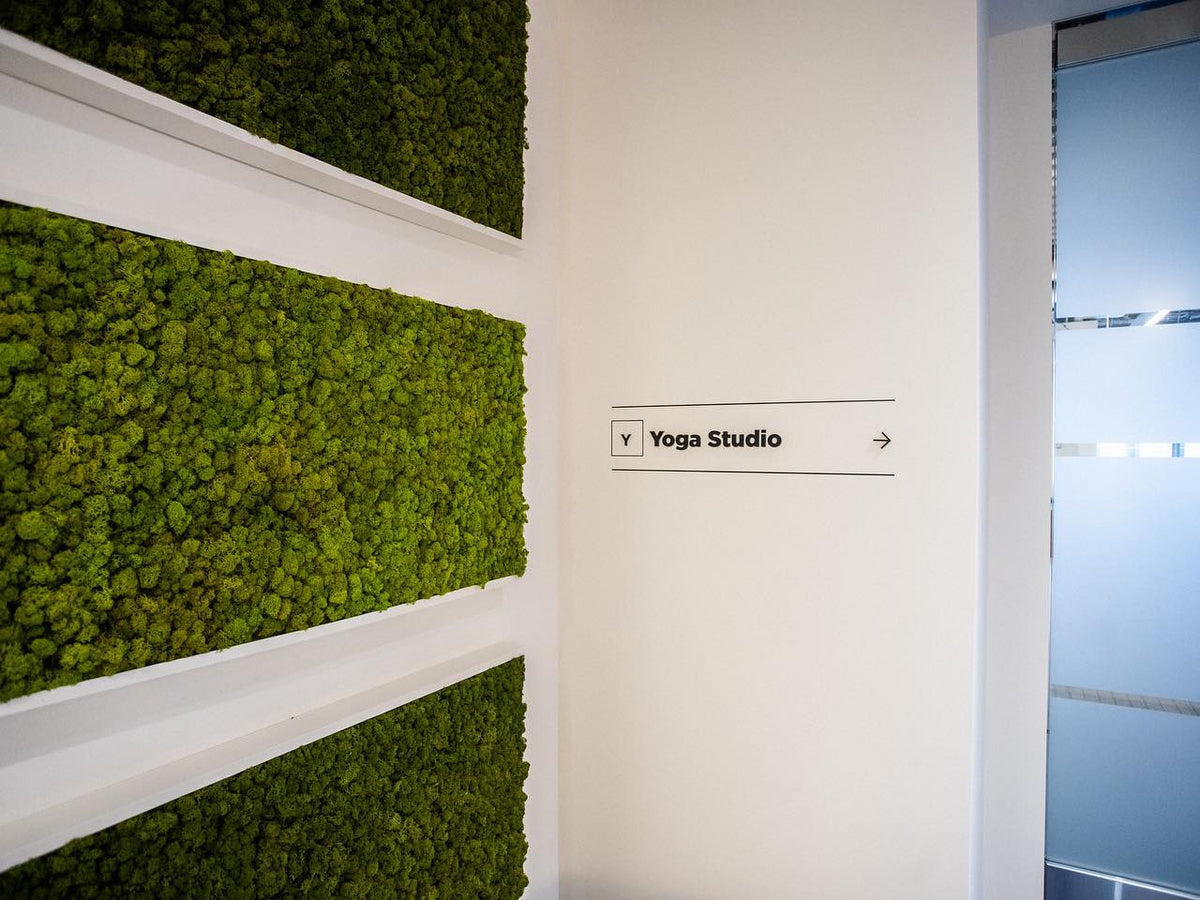 Moss Wall Creation Consultation – Gardenista Jax