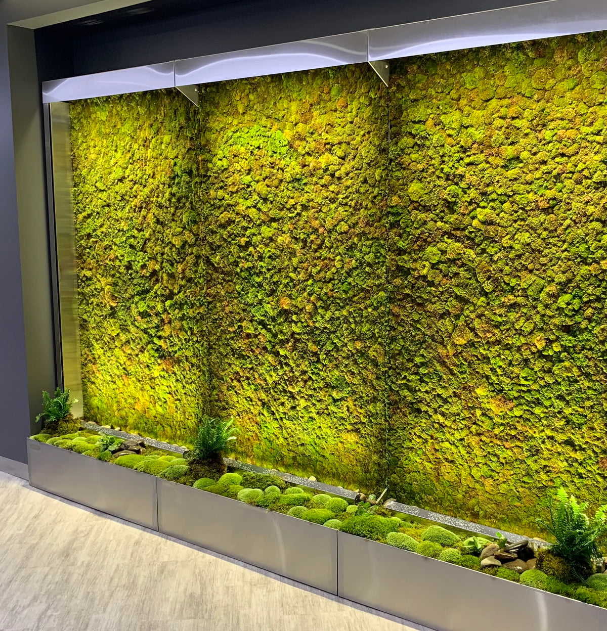 MossAire Living Moss Wall Frame: A Natural Air Filter & Stress Relief –  Moss Acres Biophilic Studio & Workshop