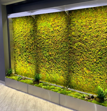 What Are Moss Walls and How Do They Work? — Vert Plantworks