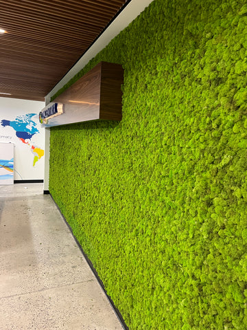 Moss Walls - CityLeaf, Inc.