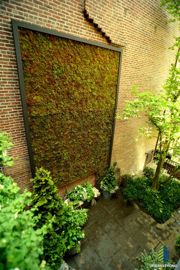 Moss Wall Projects – Moss Acres