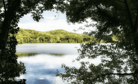 norris lake