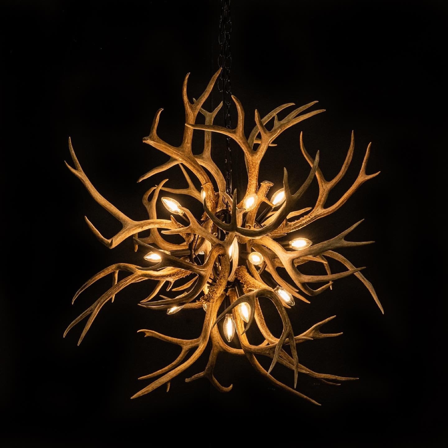 tumbleweed chandelier