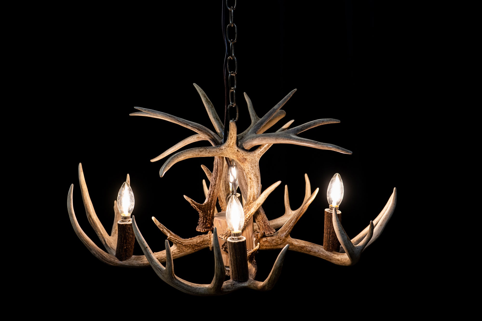 Whitetail Deer Antler Sconce - real antler lighting - Littlebranch Farm