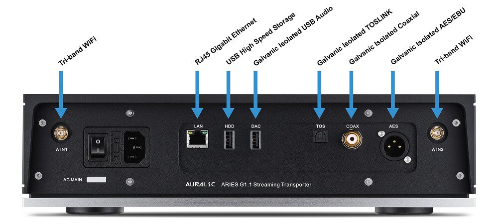 Auralic Aries G1.1 - Rear Panel