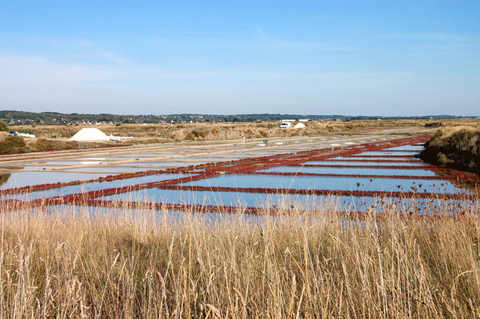 Salzgärten bei Tag in Guerande