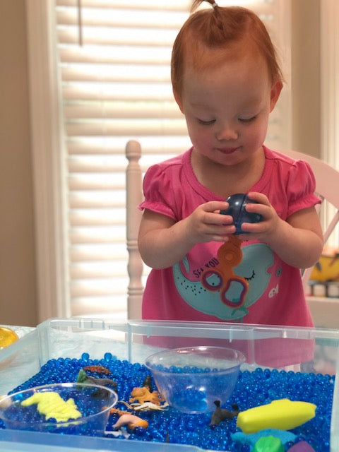 What's under the sea?