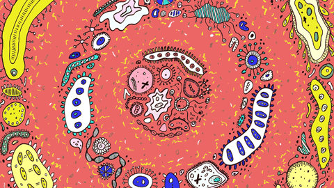 Microscopic View Of Bacteria gif
