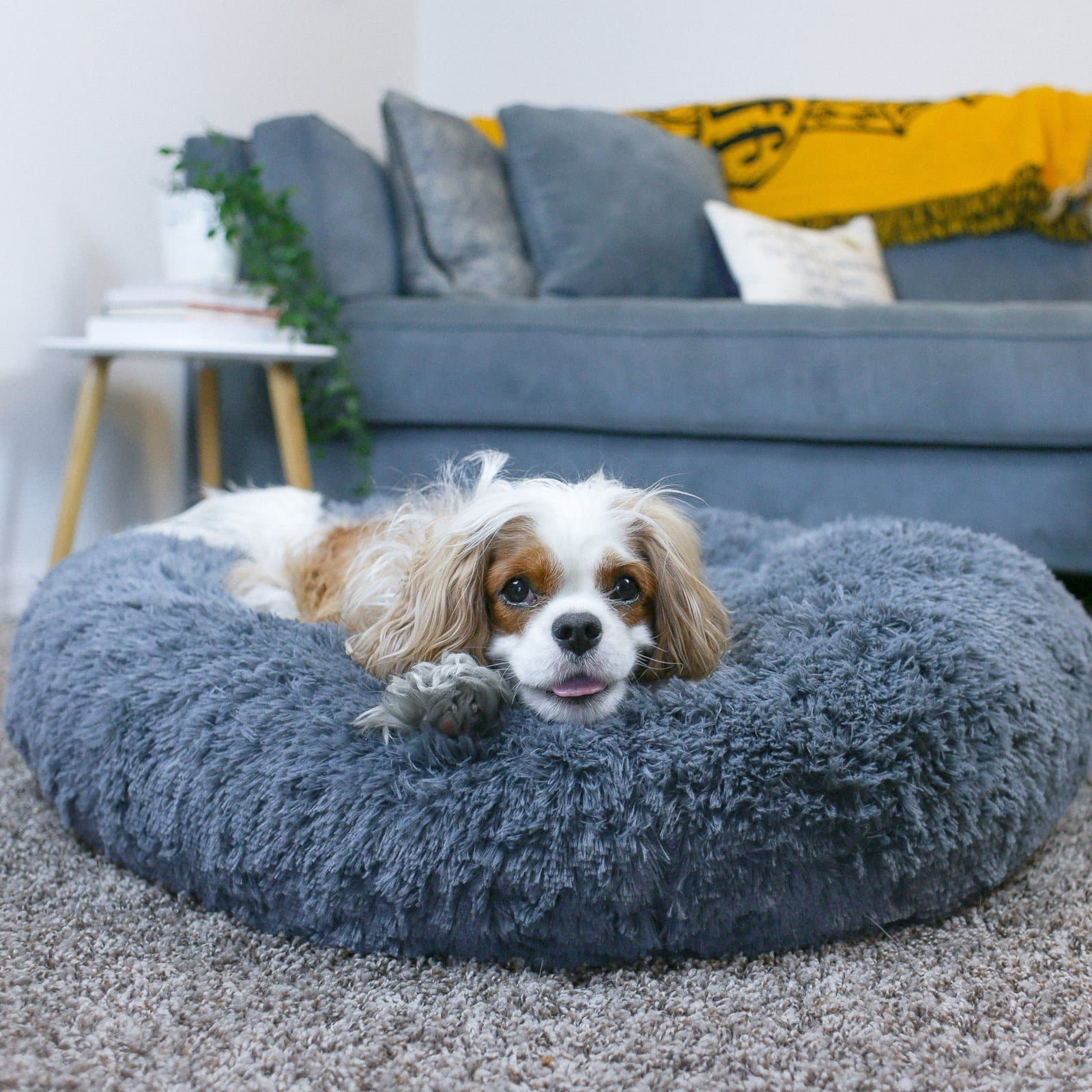 Comfy Calming Pet Bed - Simplegobuy