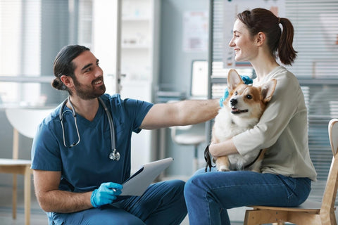 Importance of consulting with a veterinarian for your pets
