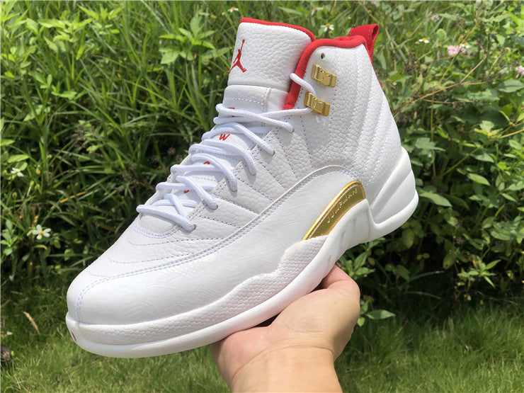 jordan tenis 12