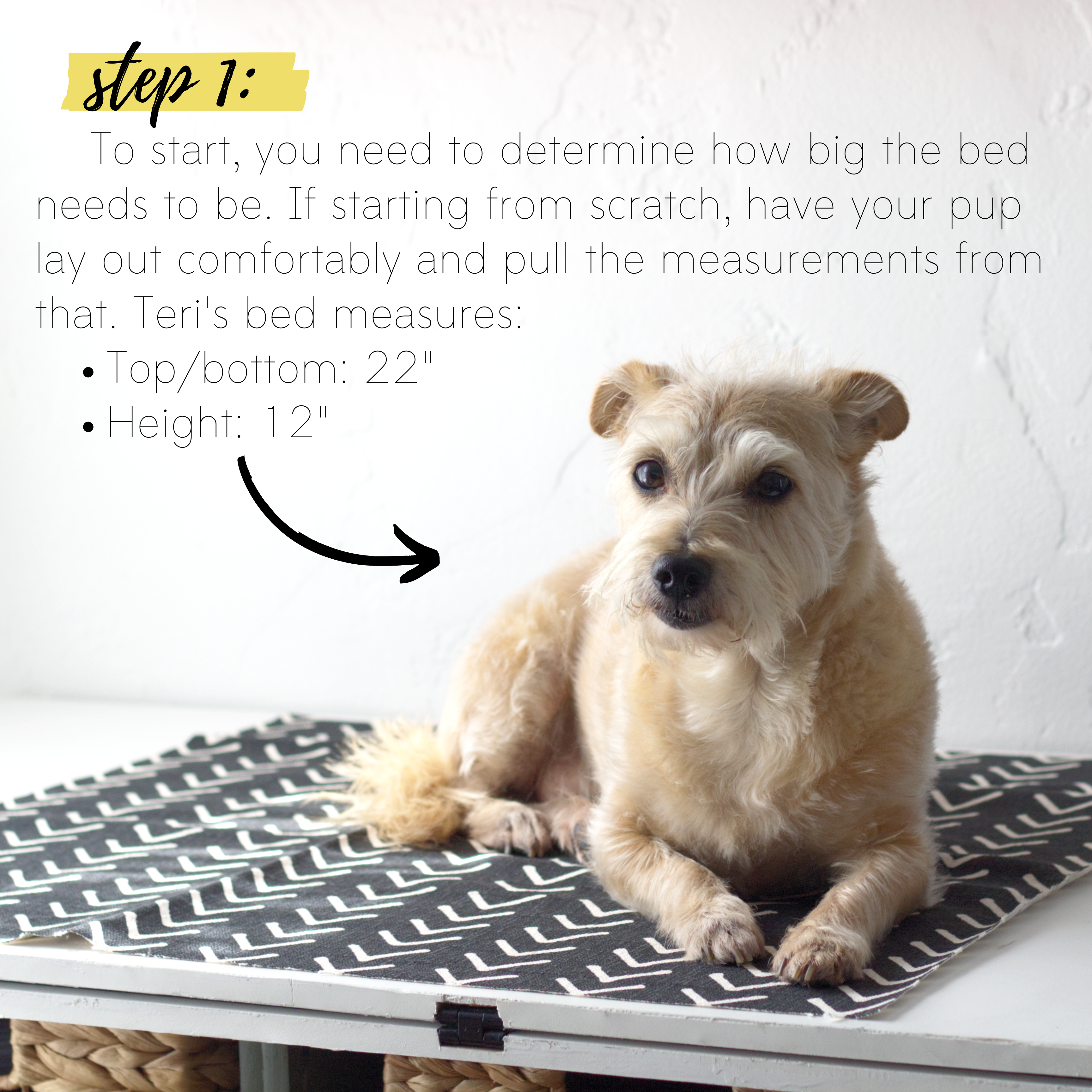 How to sew an easy pet bed DIY sewing tutorial: Step 1