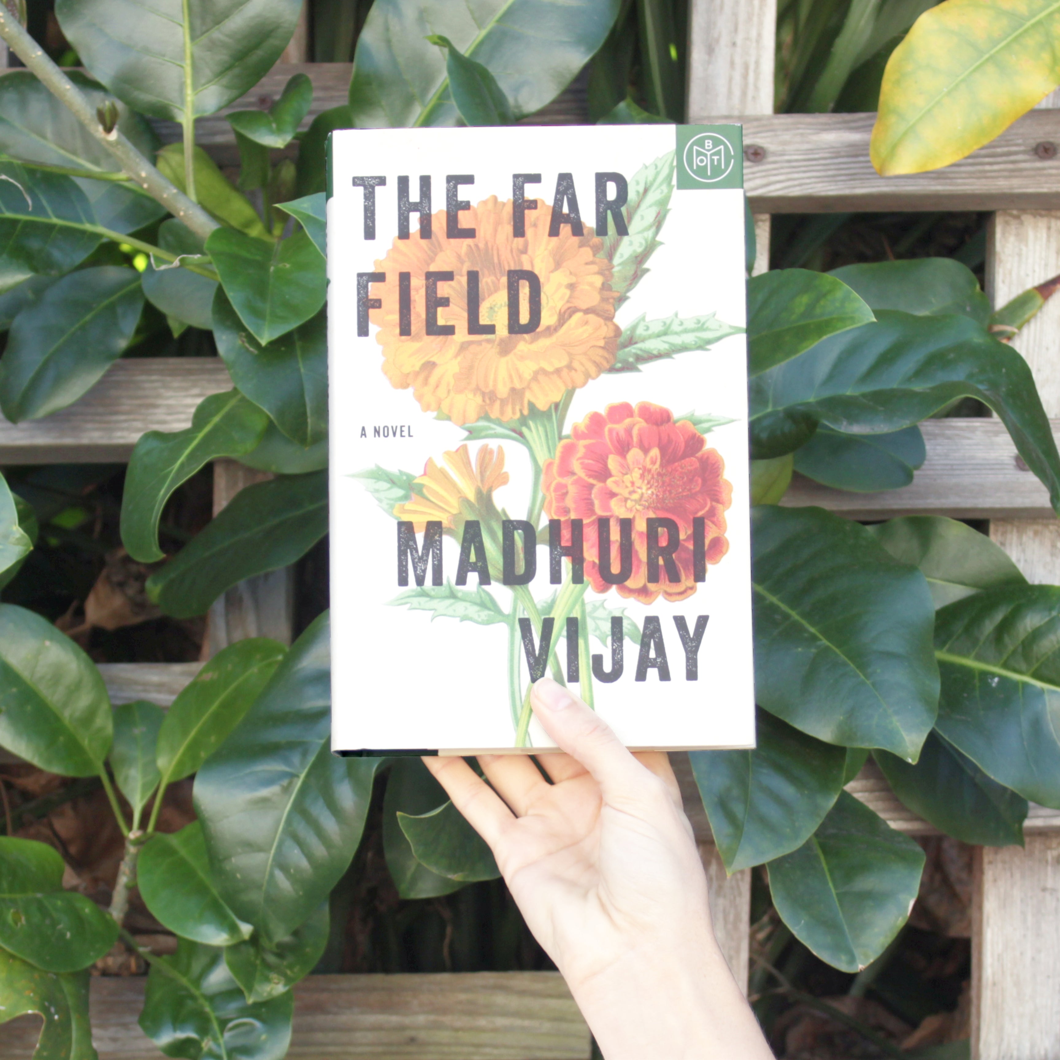 Favorite Sewing Projects & Reads: "The Far Field"