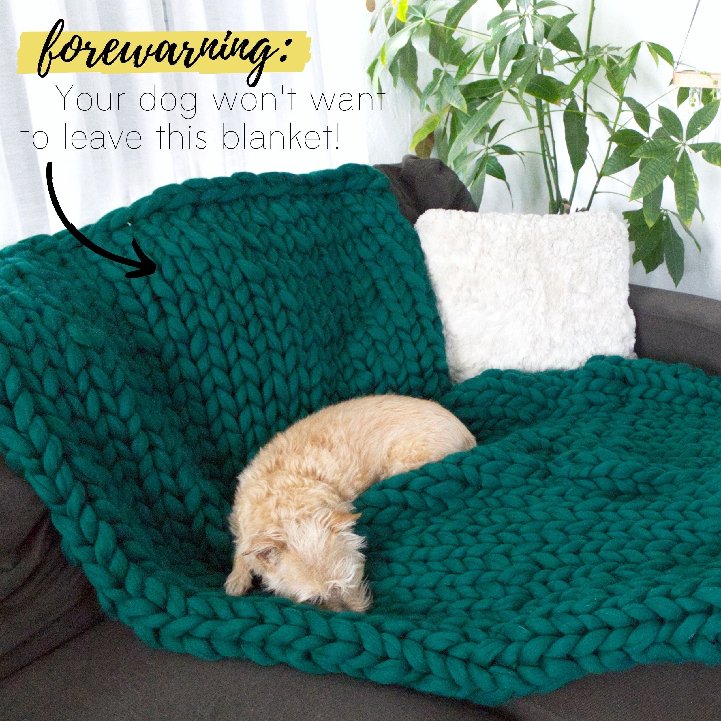 Your dog won't want to leave this DIY chunky knit blanket!