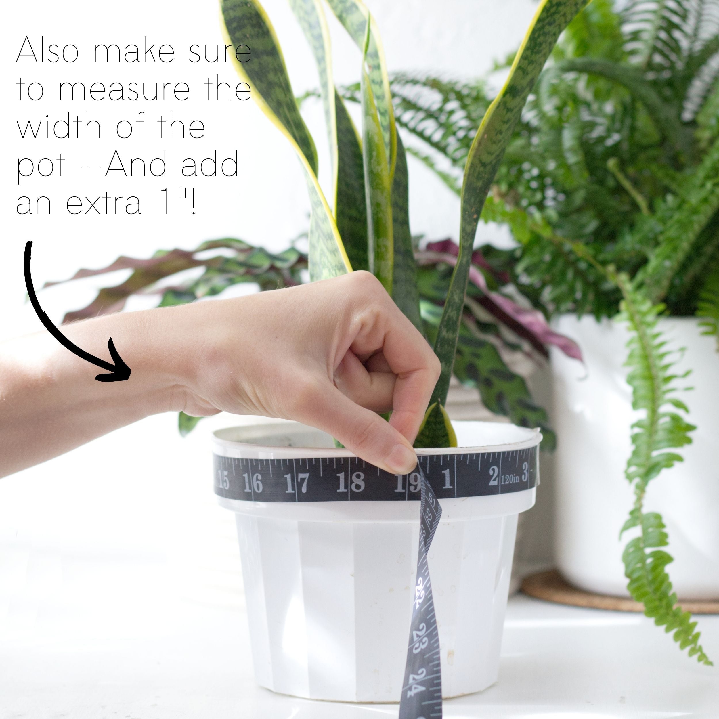 How to make a DIY fabric plant holder: Step 1.1