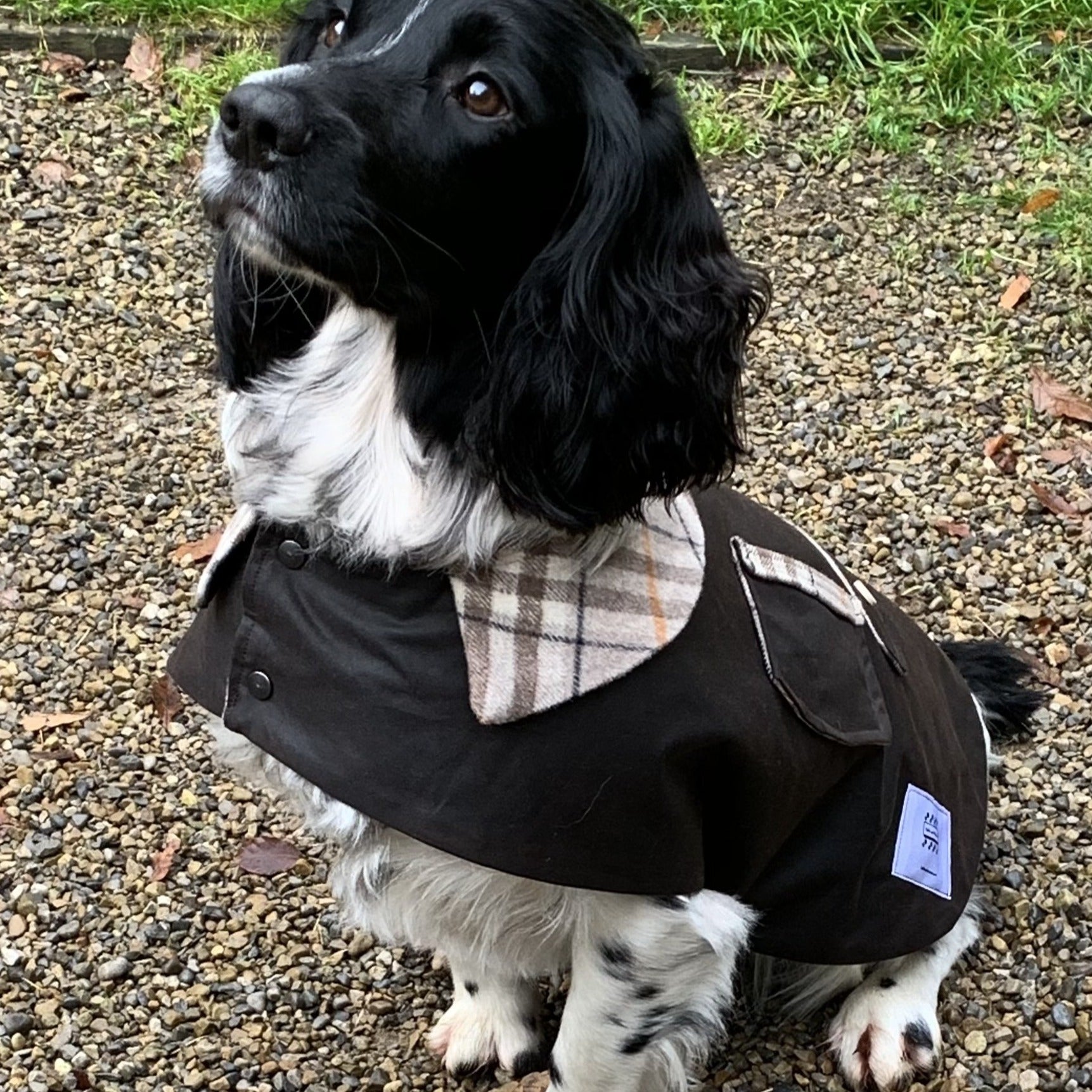 Waterproof Barbour Style Wax Dog Jacket/Coat – Bella and Watson Ltd