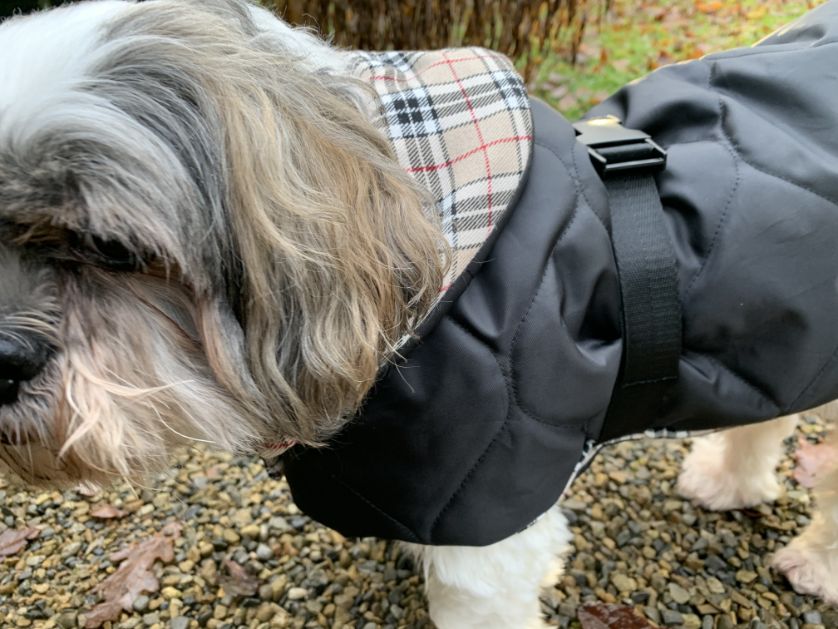 Padded Burberry waterproof dog coat/jacket handmade by Bella & Watson –  Bella and Watson Ltd