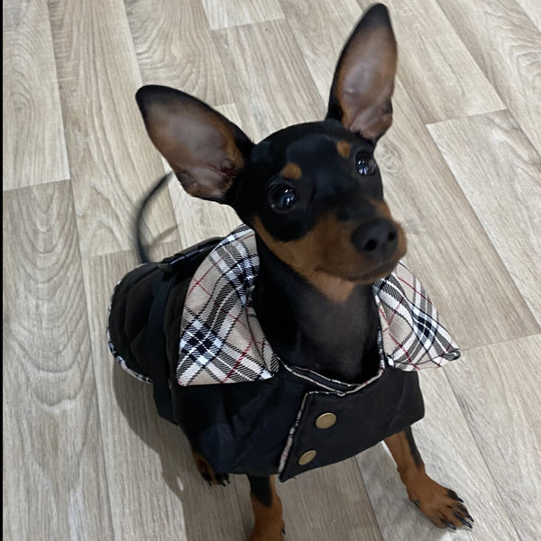 Padded Burberry waterproof dog coat/jacket handmade by Bella & Watson –  Bella and Watson Ltd