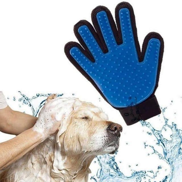 dog brush glove