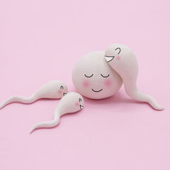 Fertility-egg-sperm