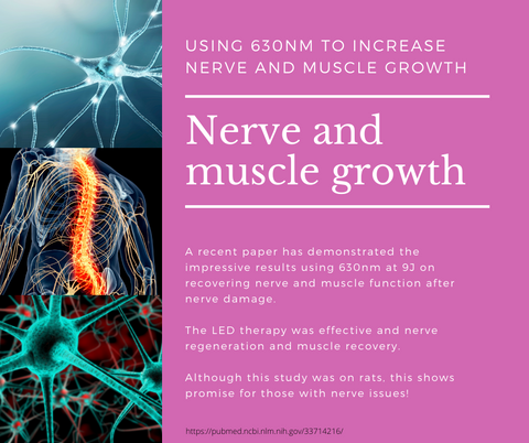 Muscle-nerve-growth-pbmt