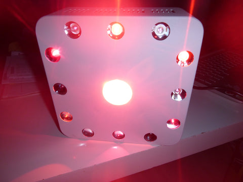 Light-photobiomodulation-device