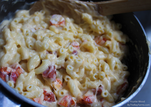 lobster and linguica new england style mac and cheese