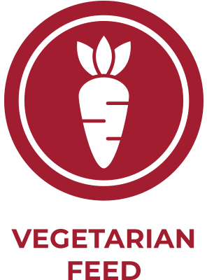 Veggie