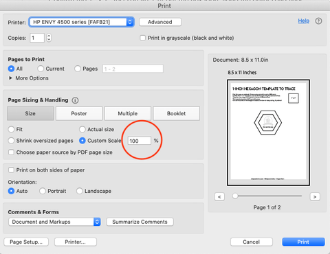 screenshot of printer settings at 100% scale