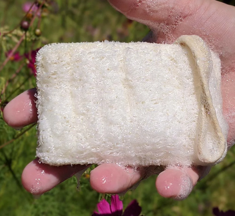 The Pitfalls of Plastic Sponges — And How to Wash Your Dishes