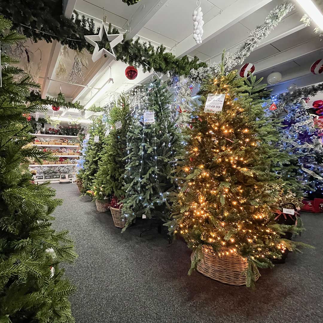 Artificial Christmas Trees on Display at Seasons Christmas Outlet