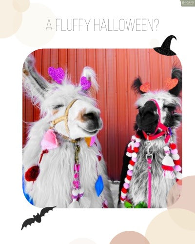 alpaca witches playing dress up for halloween