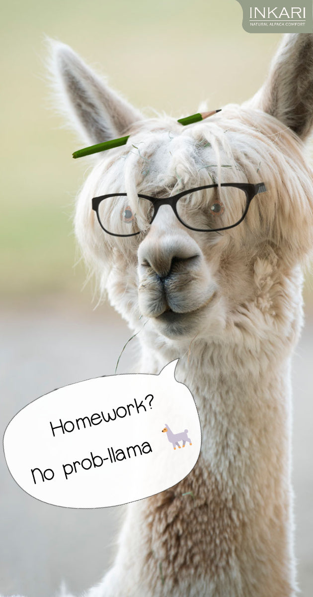 math joke alpaca llama