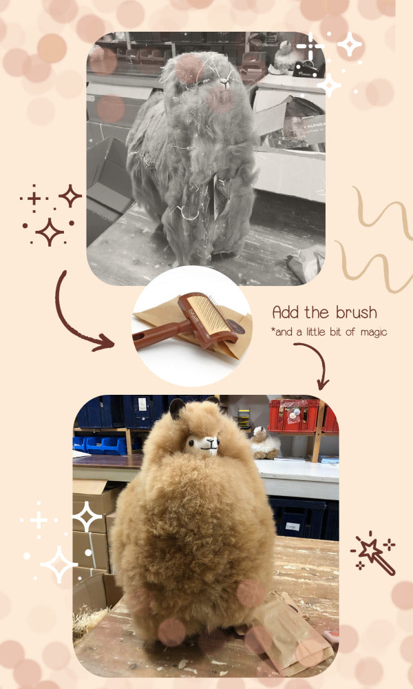 how to brush your alpaca before and after 