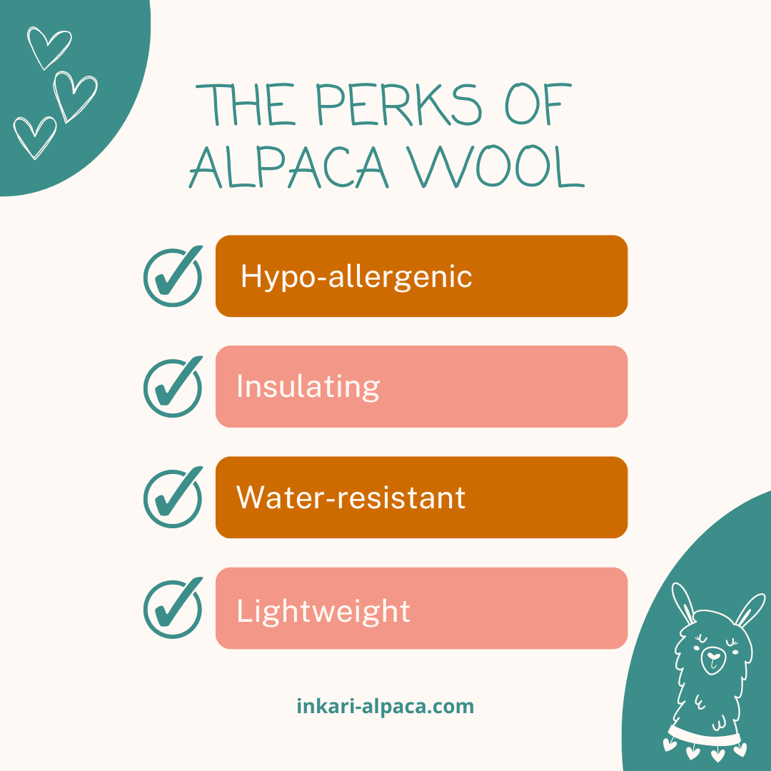 the perks of alpaca wool