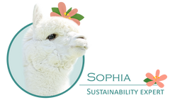 sustainability expert sustainable soof the alpaca from inkari profile pic
