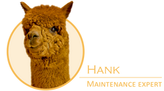hank the alpaca maintenance expert