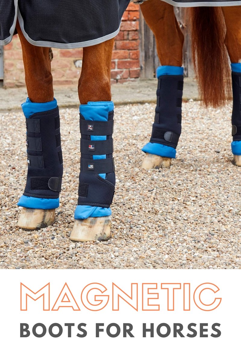 Horse Boots A guide for riders Active Equine