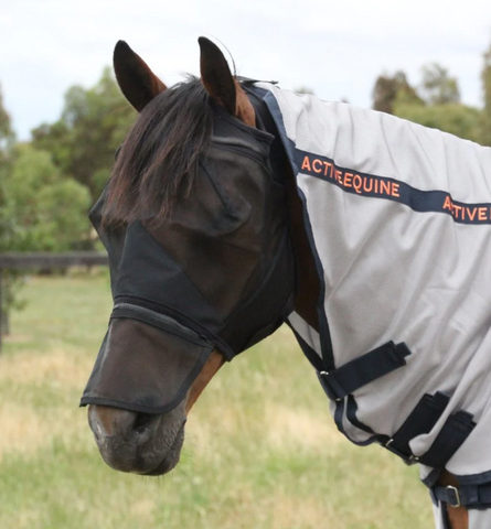 Fly Masks With Ears - Active Equine