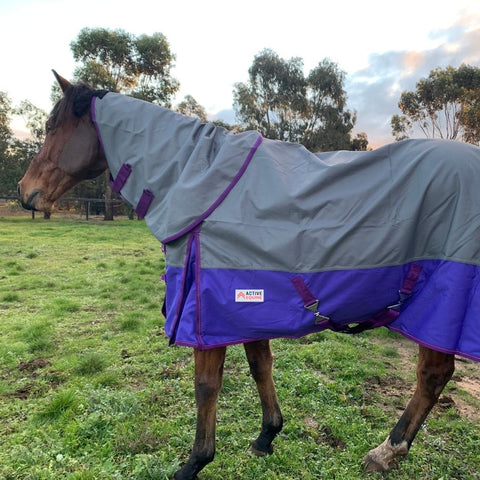 Cheap rainsheet horse rug australia