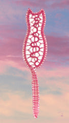 Pink Idjria lace cat bookmark