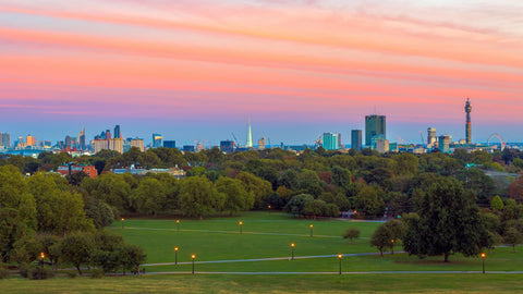 primrose hill sun set London views