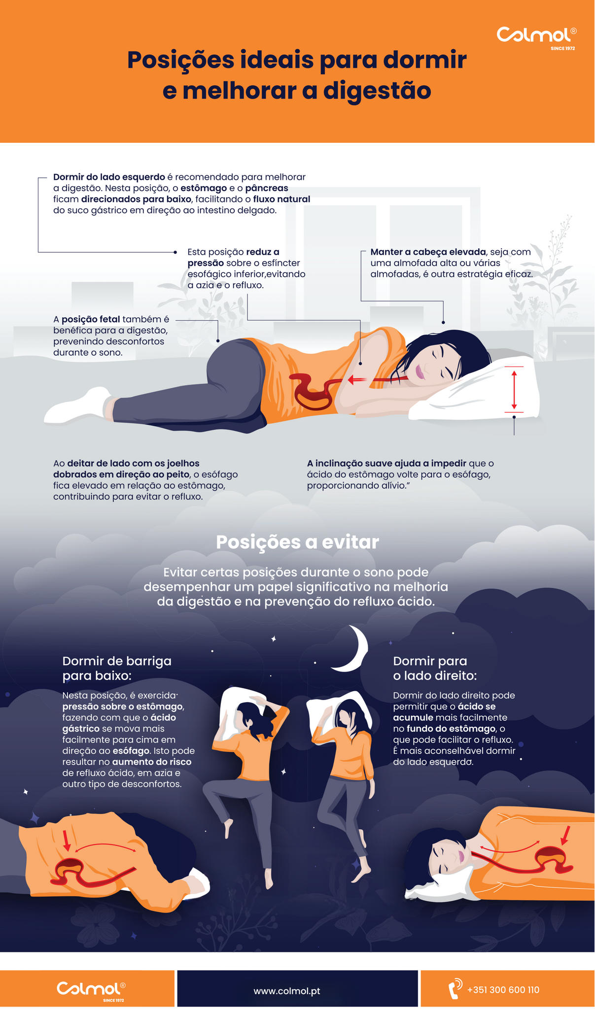 Infografia COLMOL - Posições de sono para melhorar digestão