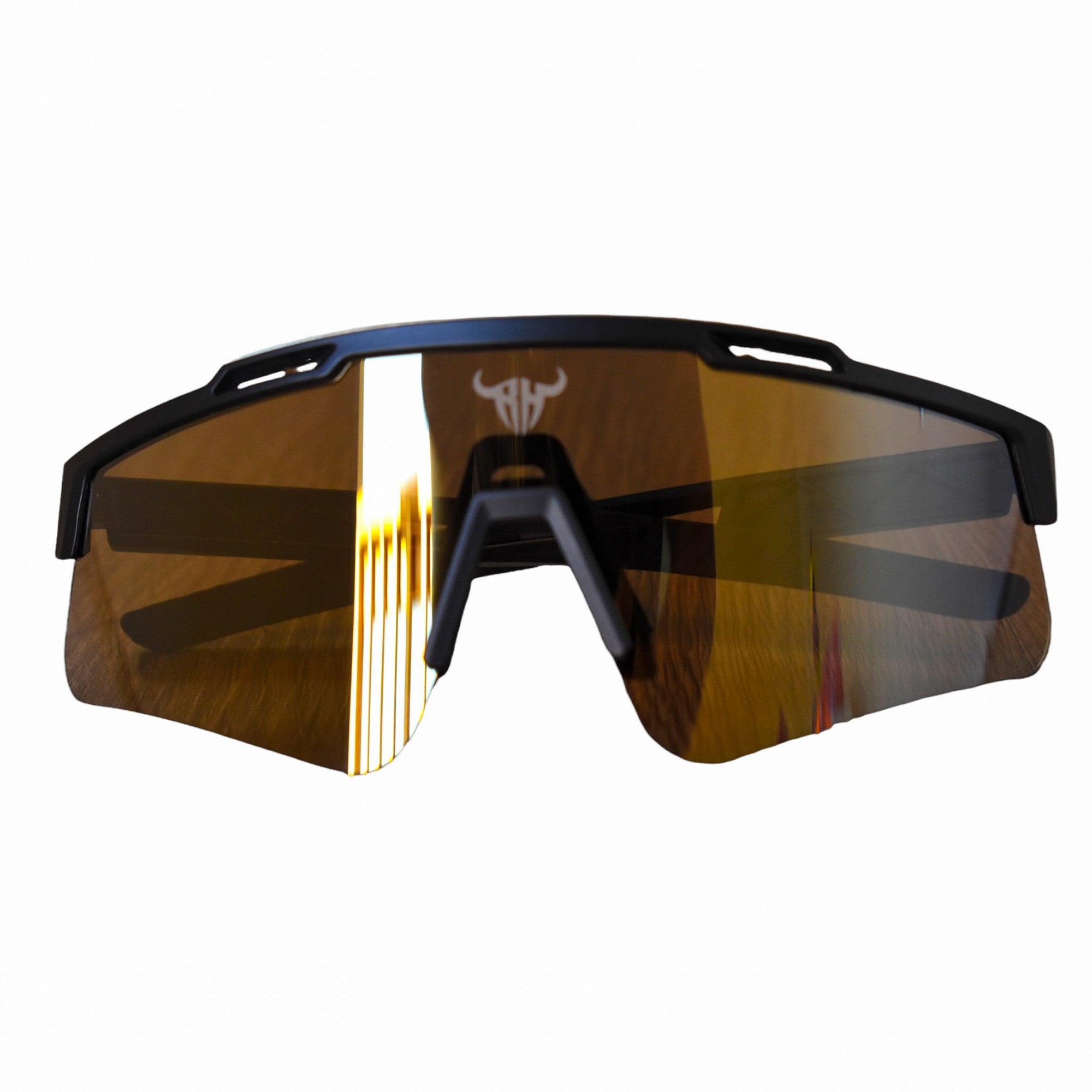 For rampage size L free goggles-