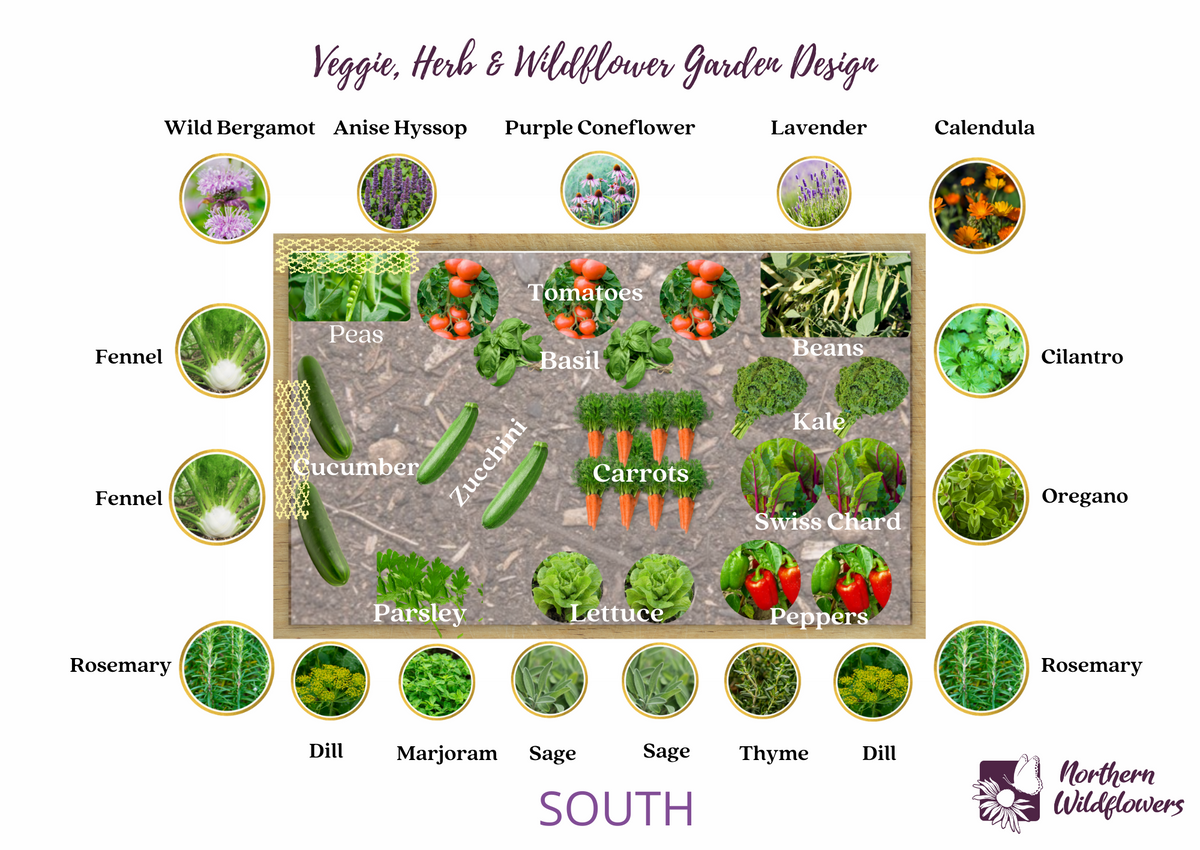 Sample Raised Bed Garden Design- Wildflowers, Vegetables, and Herbs (O ...