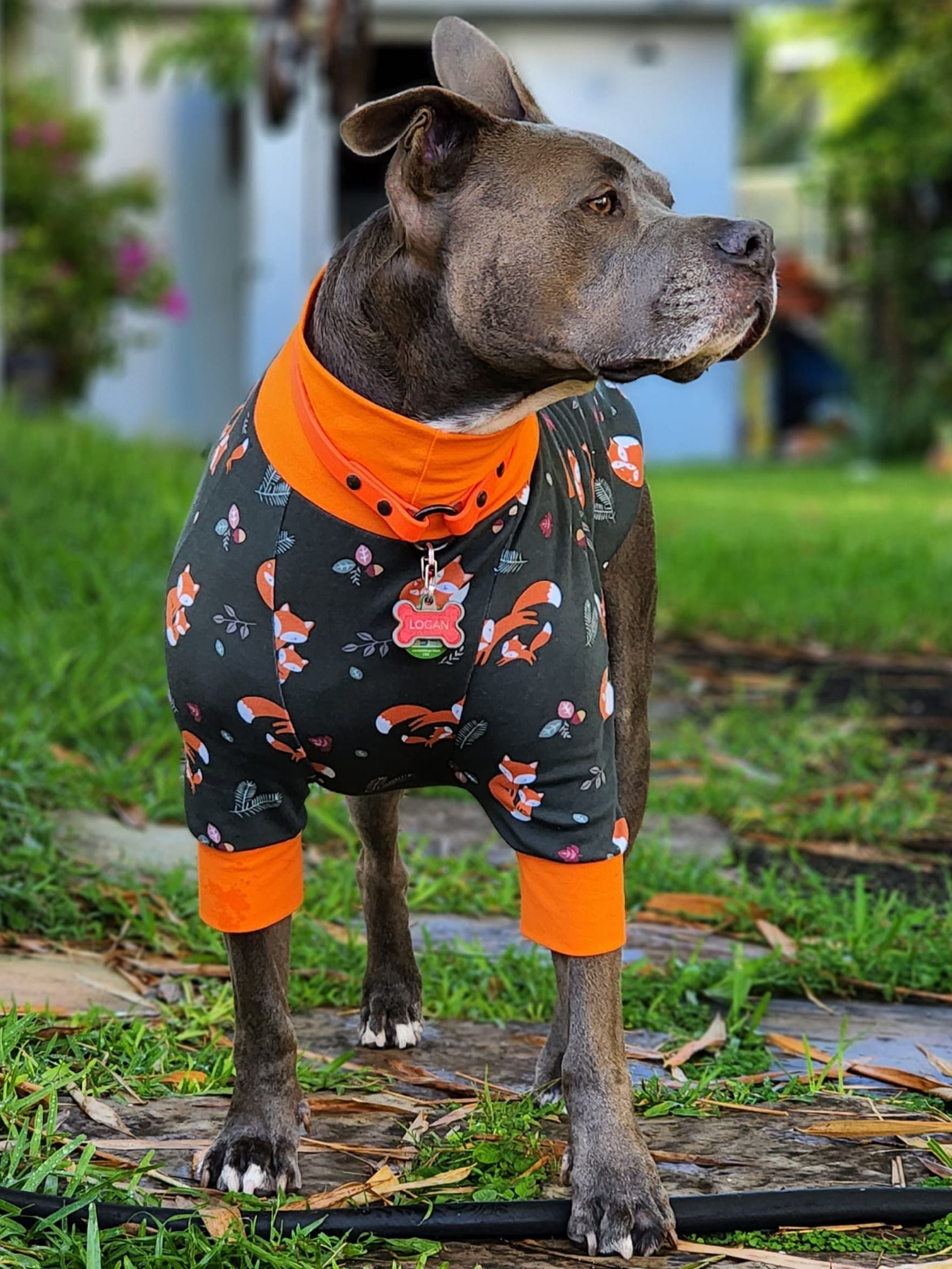 Dinos on Dark Blue Dog Pajamas